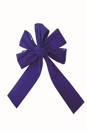 Blue Velvet Christmas Ribbon